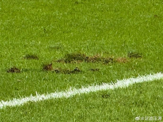 kaiyun-记者：西安的草皮是从美国进口的，奈何最近高温接阴雨泡软了